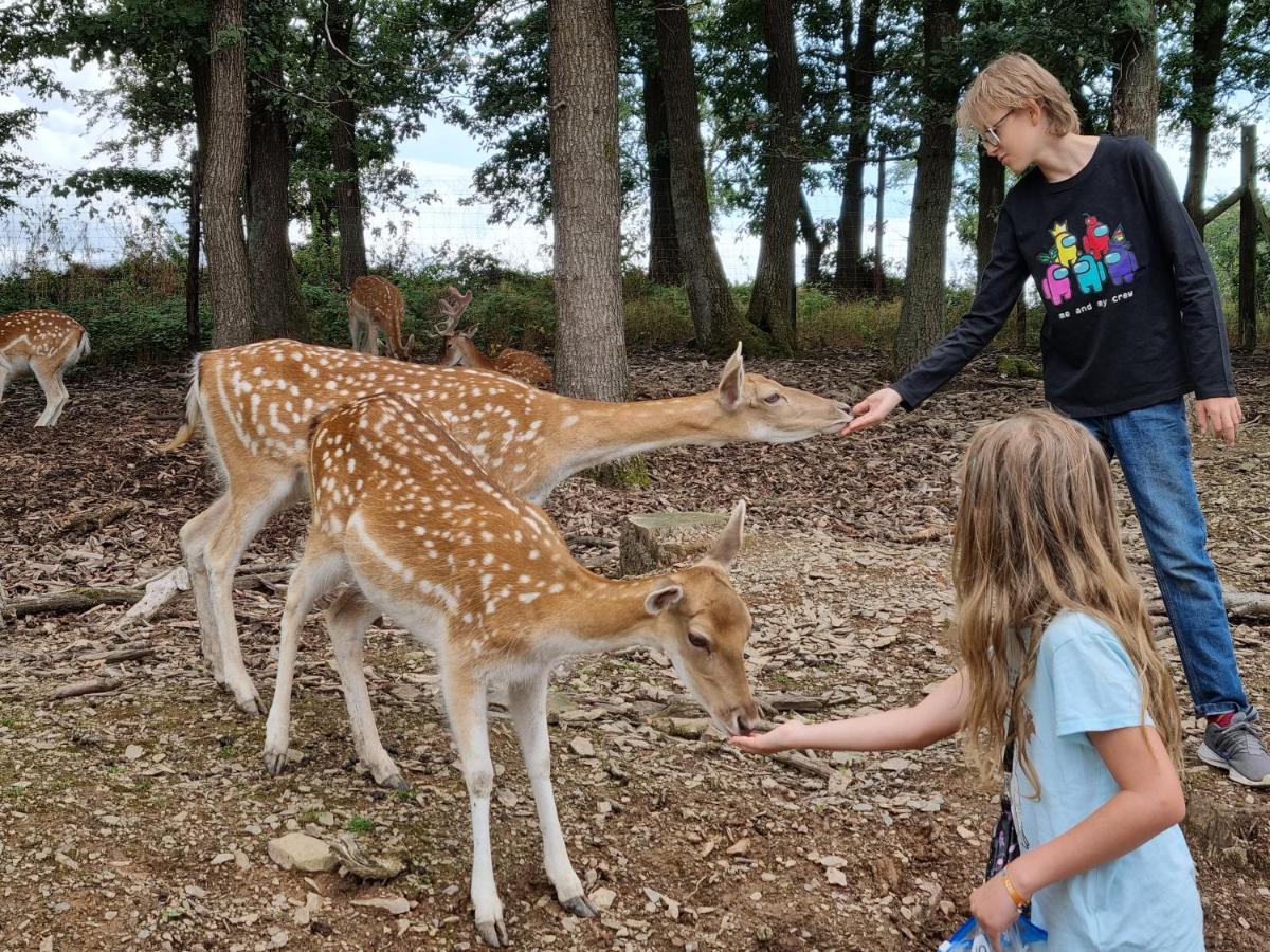 Ferienwohnung Beim Nationalpark Eifel Nideggen Eksteriør billede